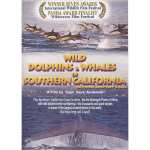Wild Dolphins & Whales of Southern California