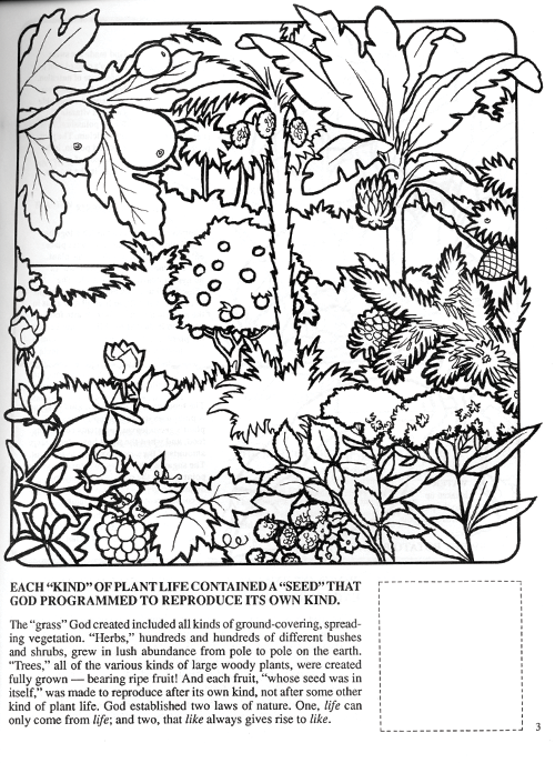 made coloring pages - photo #27