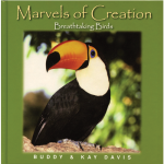 Marvels of Creation: Breathtaking Birds