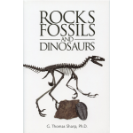 Rocks Fossils and Dinosaurs