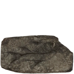 Fish in Slate
