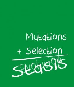 Mutation-Selection-Stasis-255x300