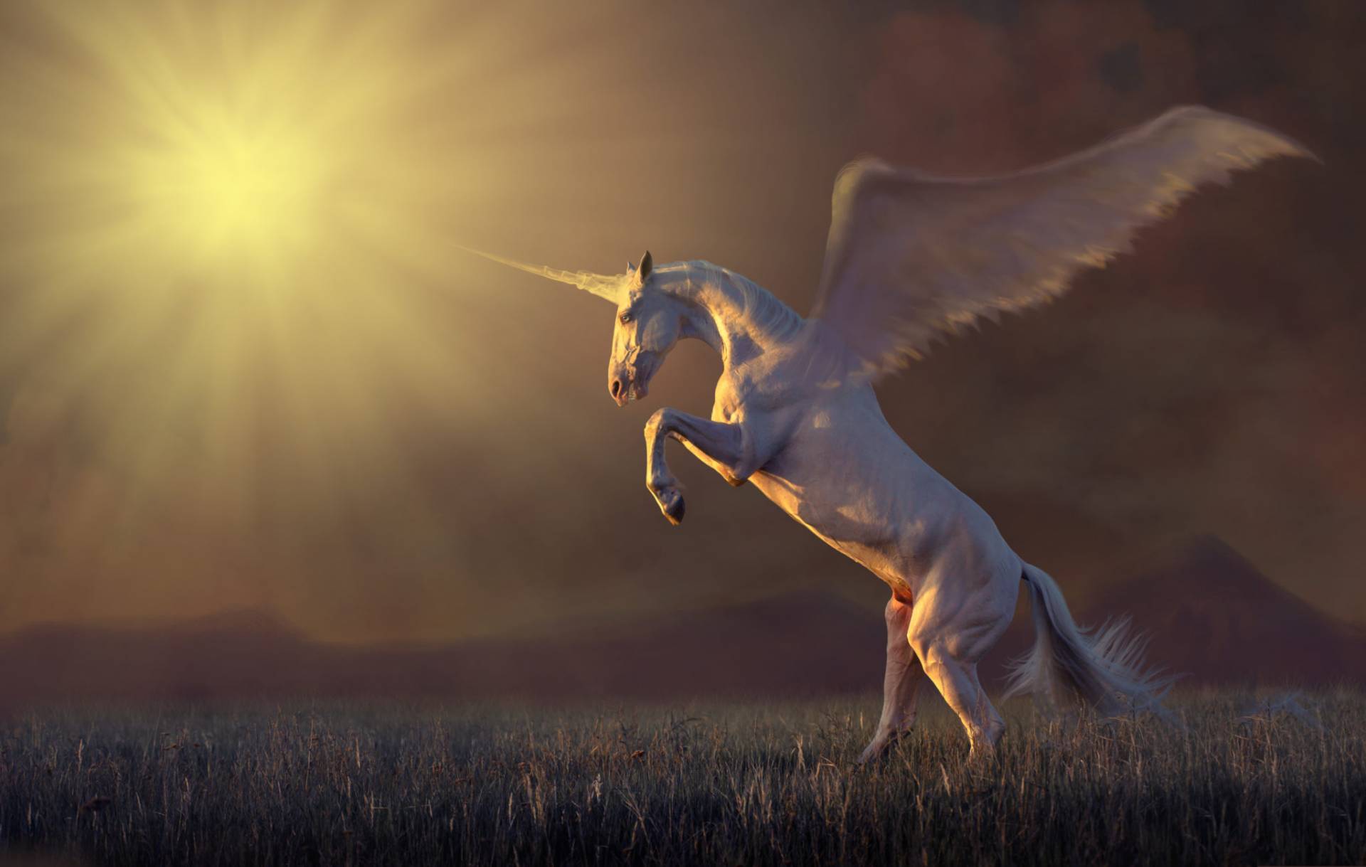 Mythical Unicorns In The Bible
