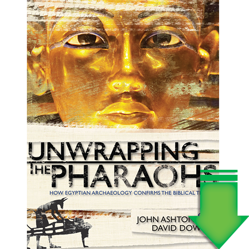 Unwrapping the Pharaohs eBook (PDF)