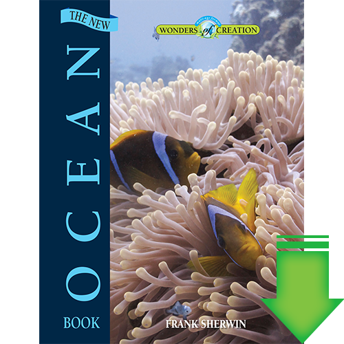 The New Ocean Book eBook (PDF)