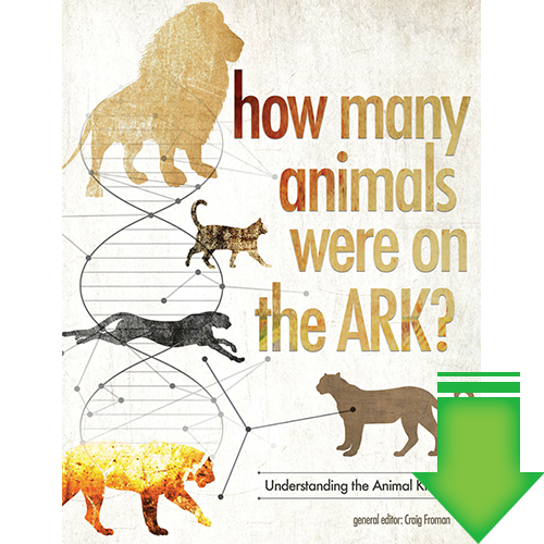 How Many Animals were on the Ark? eBook (PDF)