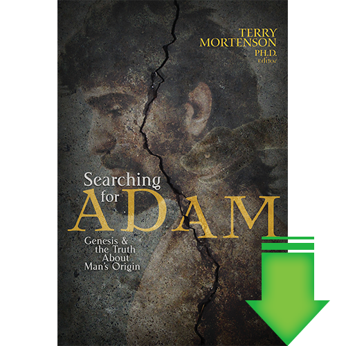Searching for Adam eBook (MOBI, PDF)