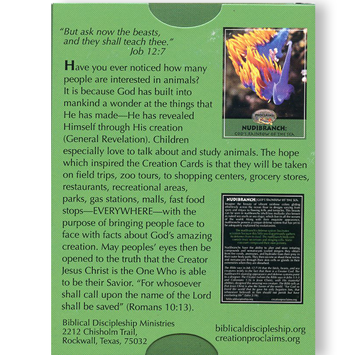 Creation Proclaims: Climbers & Creepers Creation Tract Cards (50 pack) back