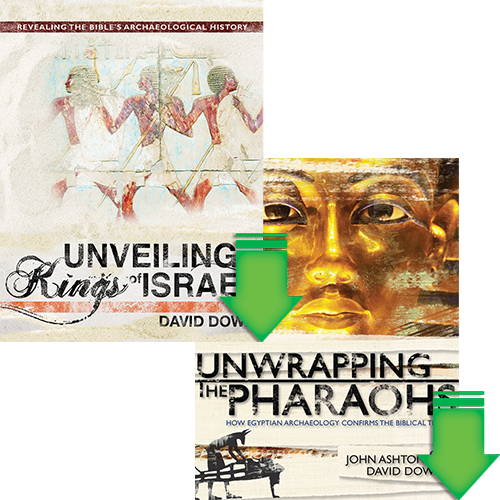 History Unwrapped and Unveiled eBook Package