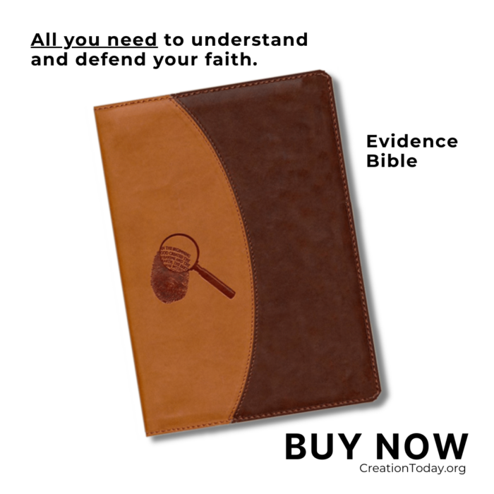 The Evidence Bible (Brown Leather) - Image 2