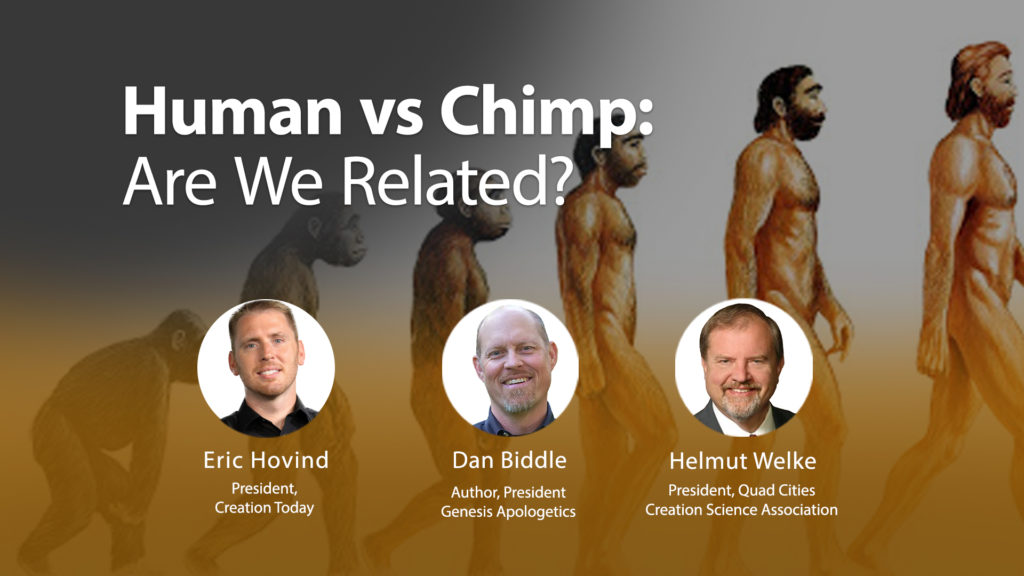 Human vs Chimp_Are We Related 1920 x 1080