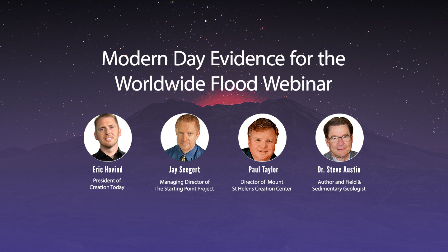 Modern Day Evidence of A Worldwide Flood
