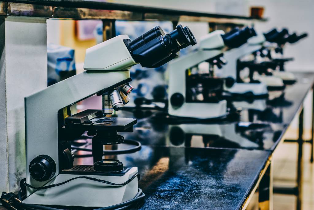 The Science of Nonsense