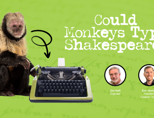 Could Monkeys Type Shakespeare?