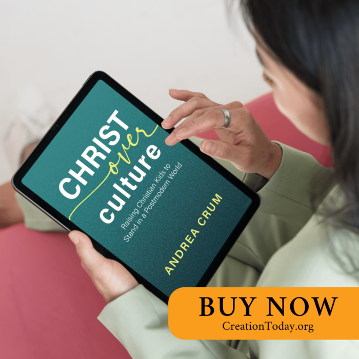 Christ Over Culture - Raising Christian Kids to Stand in a Postmodern World eBook (EPUB, PDF) - Image 2
