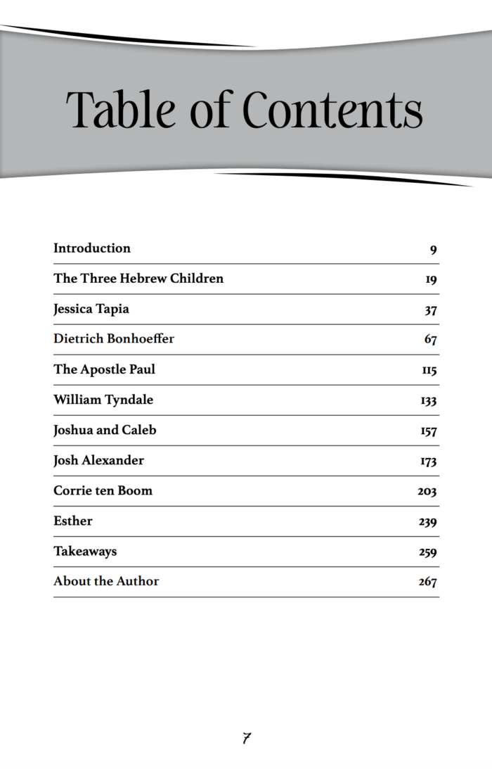 Courage to Stand eBook (PDF, ePub) - Image 5