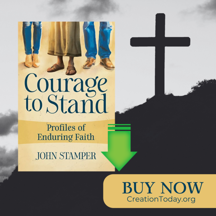 Courage to Stand eBook (PDF, ePub) - Image 3