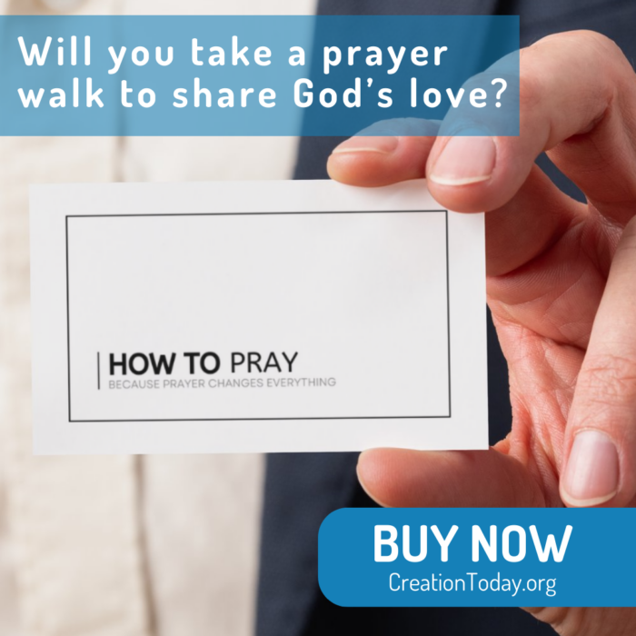 How to Pray Tract Card (5 Pack) - Image 2