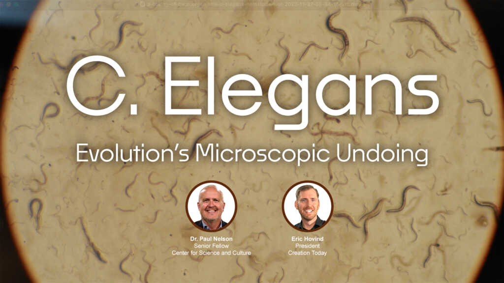 C. Elegans: Evolution’s Microscopic Undoing | Creation Today Show #428