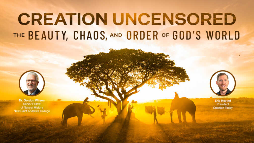 Creation Uncensored – The Beauty, Chaos, and Order of God’s World | Creation Today Show #447