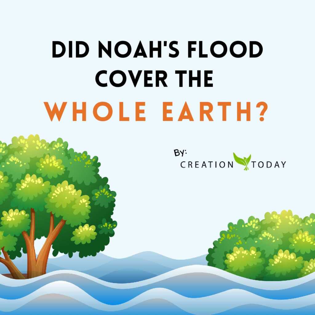 Did Noah's Flood Cover the Whole Earth?