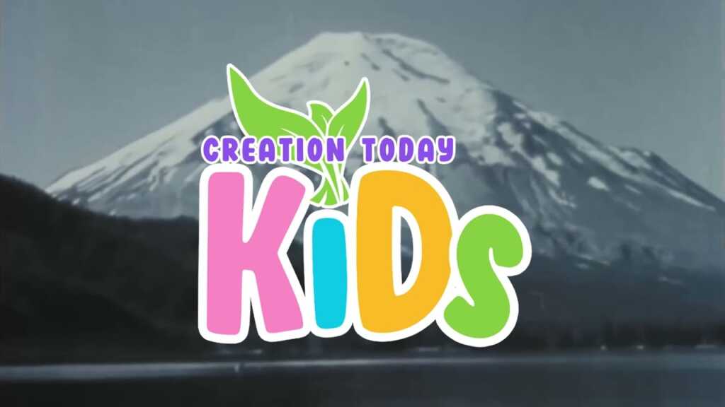 Mt St Helens Boom Boom Bang