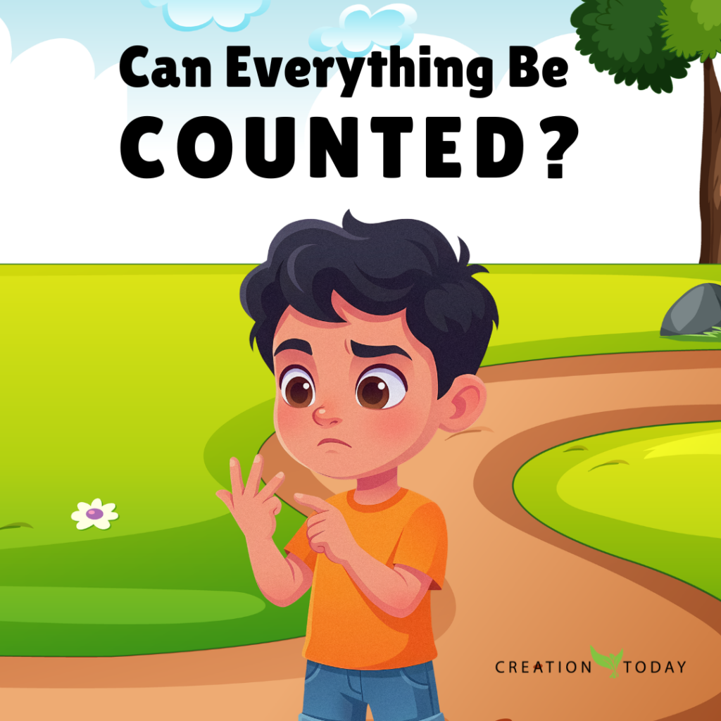 Can Everything Be Counted?
