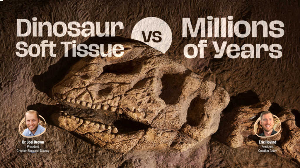 Dinosaur Soft Tissue vs. Millions of Years