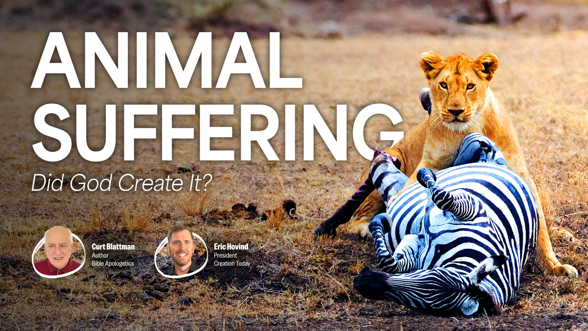 ANIMAL SUFFERING Did God Create It? | Creation Today Show #479
